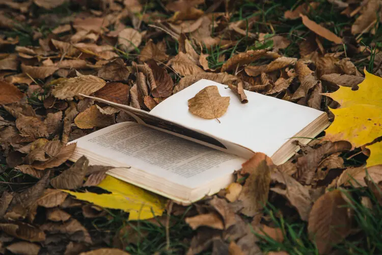 El libro físico apuesta por la sostenibilidad ambiental